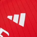 Benfica 2024 Home Shirt - Image 3