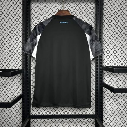 Leverkusen 24/25 Third Special Shirt - TRENDY JERSY