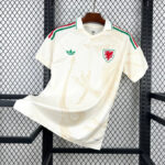 Wales 2026 World Cup Away Shirt